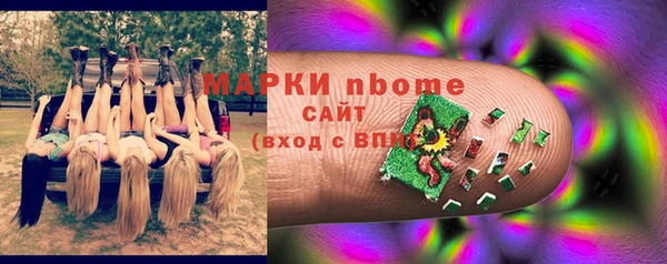 гидра Аркадак