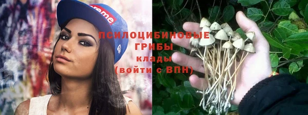 дурь Навашино