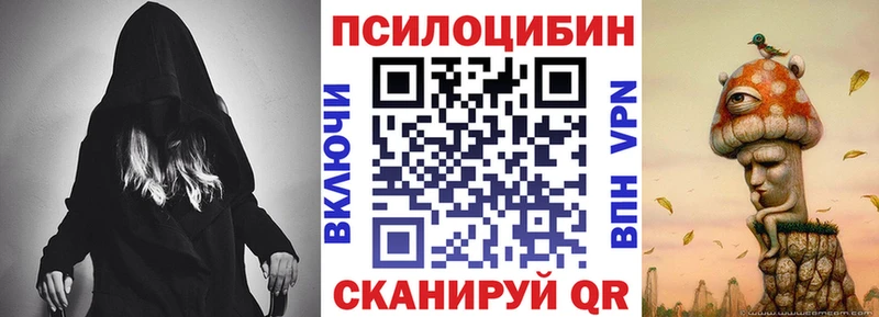 Псилоцибиновые грибы Psilocybine cubensis  Болохово 